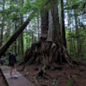 Meet your Posher, Ellen